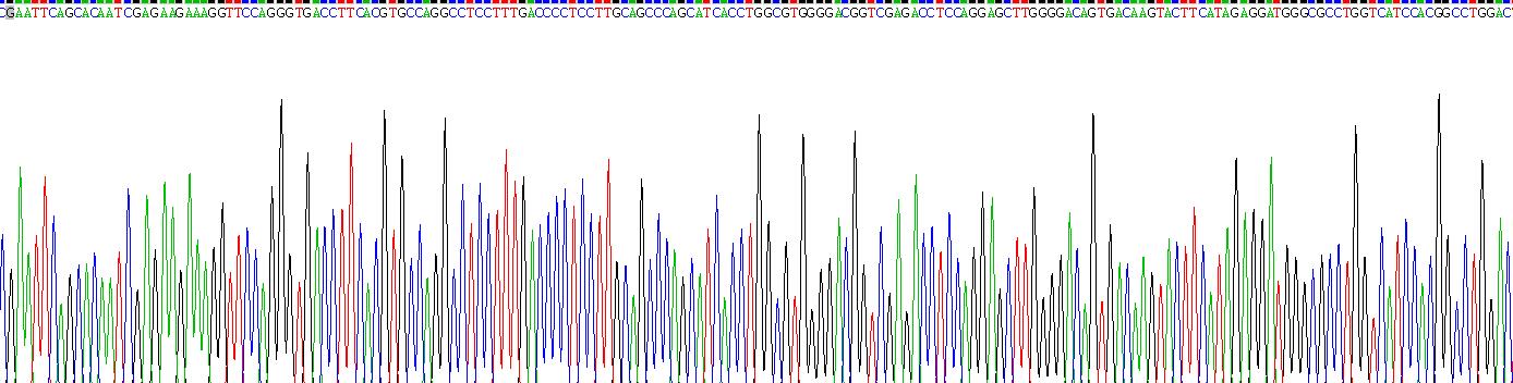 Recombinant L1-Cell Adhesion Molecule (L1CAM)