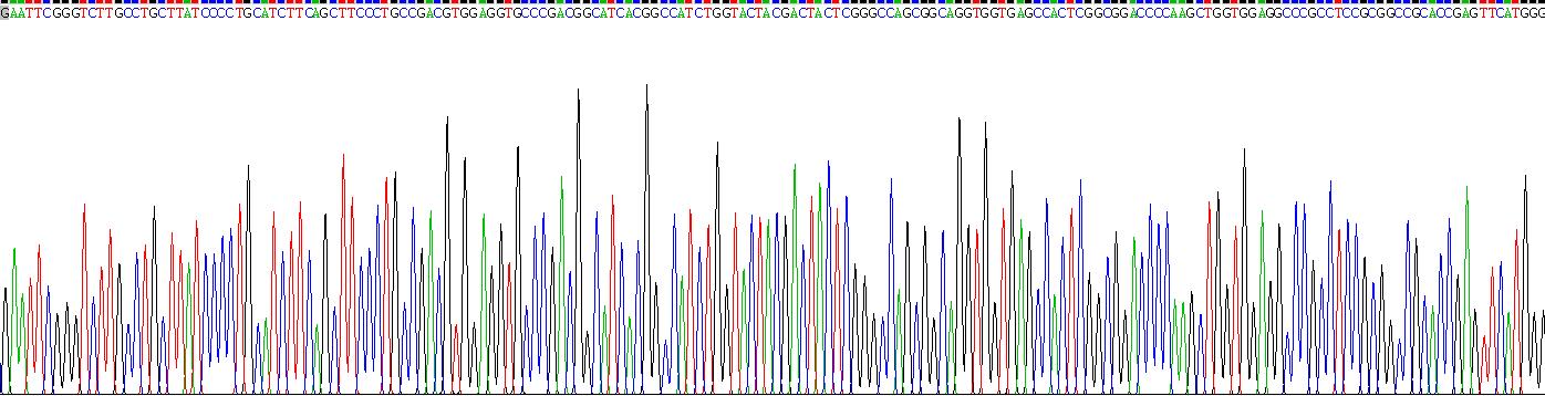 Recombinant Sialoadhesin (SN)