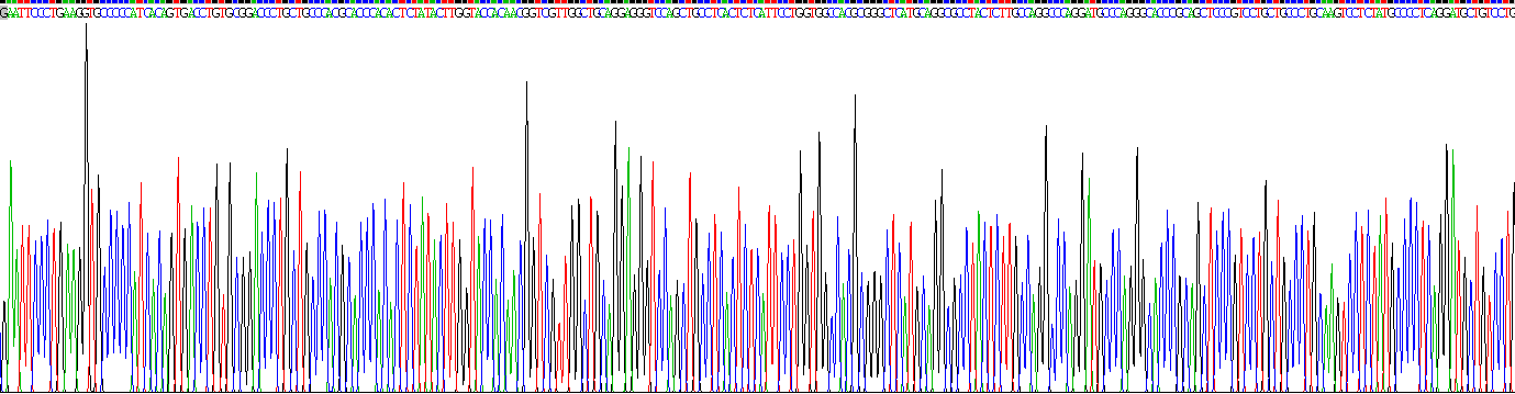 Recombinant Sialoadhesin (SN)