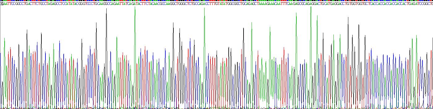 Recombinant Aprotinin (AP)