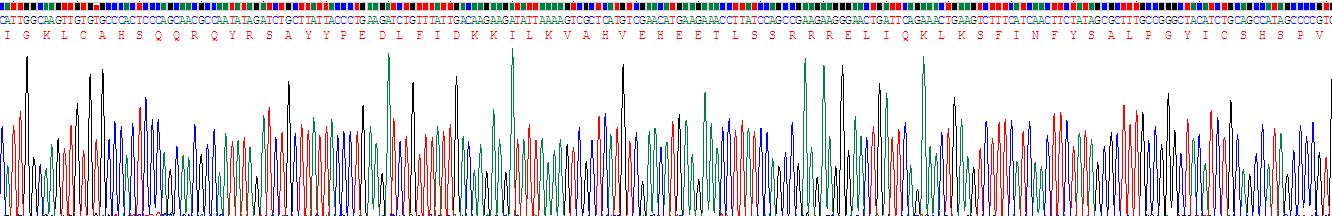 Recombinant Glypican 3 (GPC3)