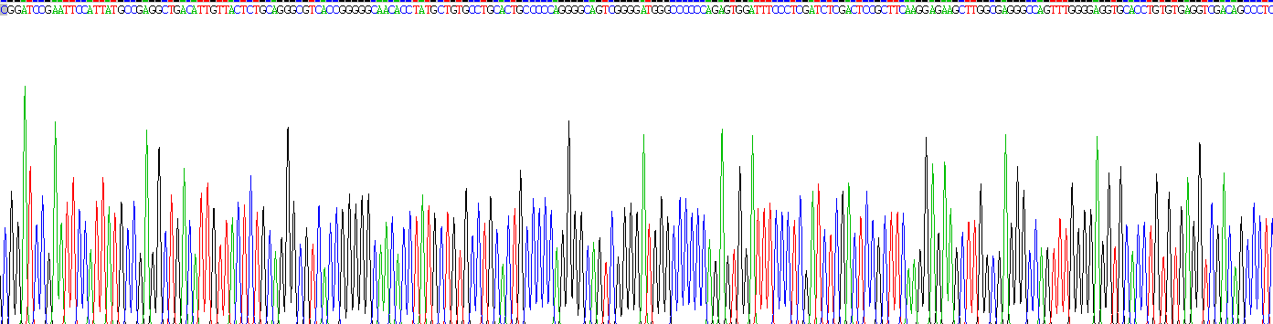 Recombinant Discoidin Domain Receptor Family, Member 1 (DDR1)