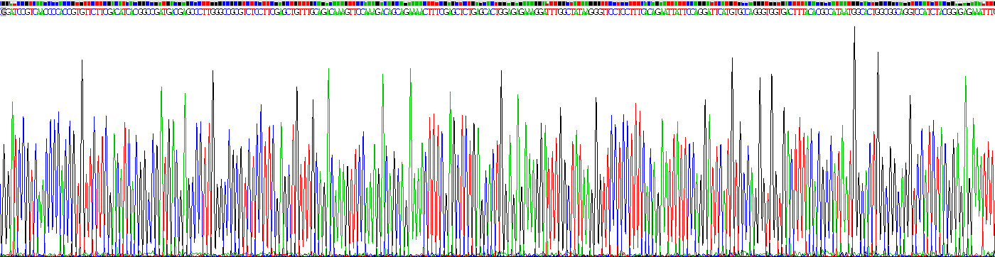 Recombinant Cyclophilin A (CYPA)