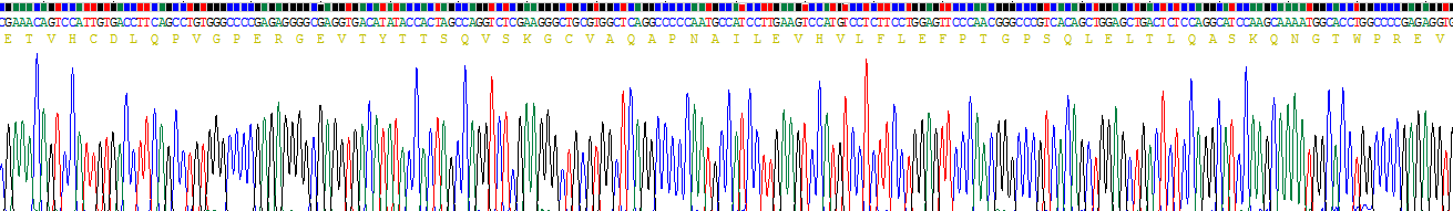 Recombinant Endoglin (ENG)