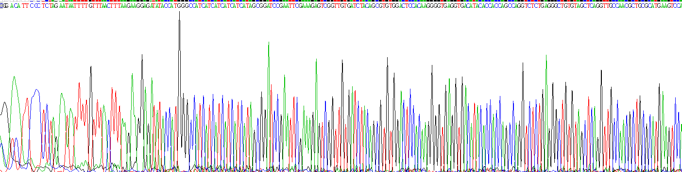 Recombinant Endoglin (ENG)