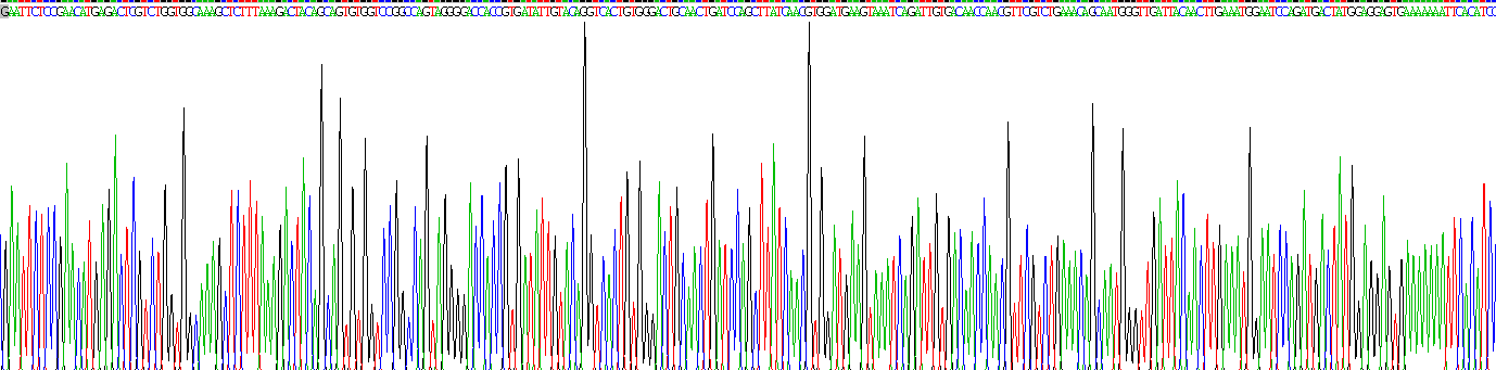 Recombinant Cholinergic Receptor, Nicotinic, Alpha 1 (CHRNa1)