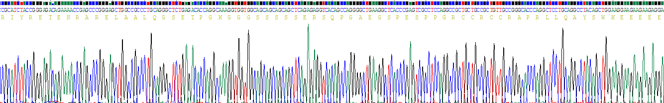 Recombinant Cholinergic Receptor, Muscarinic 1 (CHRM1)