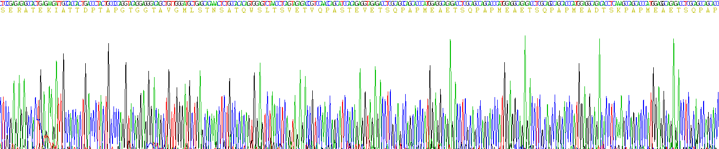 Recombinant P-Selectin Glycoprotein Ligand 1 (PSGL1)