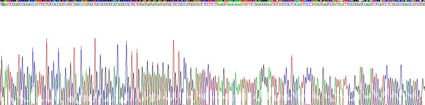 Recombinant Leukocyte Associated Immunoglobulin Like Receptor 1 (LAIR1)