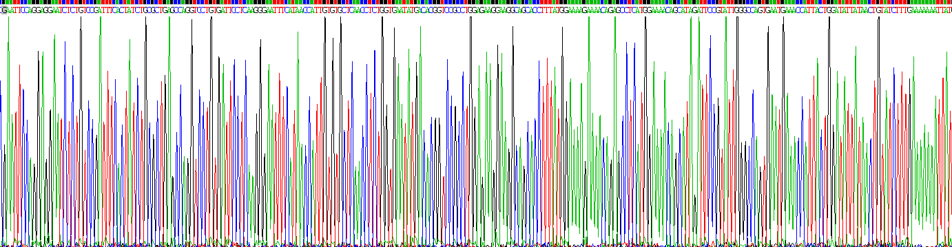 Recombinant Leukocyte Associated Immunoglobulin Like Receptor 1 (LAIR1)