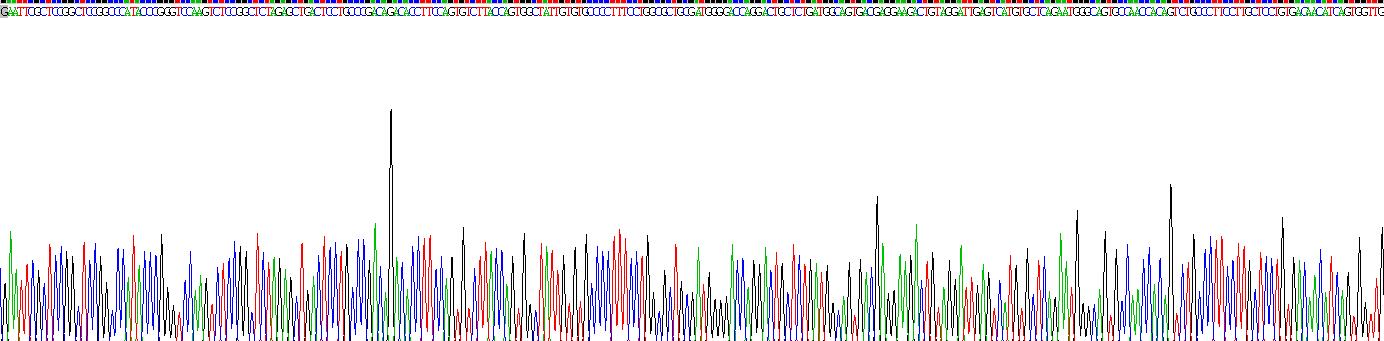 Recombinant Cluster Of Differentiation 320 (CD320)