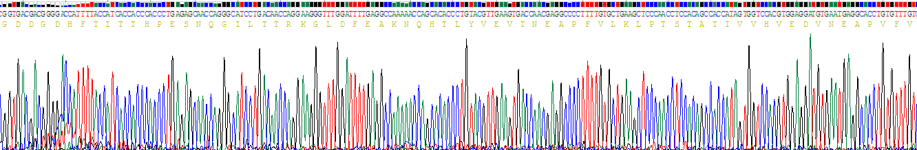 Recombinant Placental Cadherin (P-cadherin)