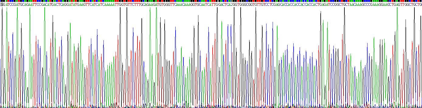 Recombinant Amyloid Precursor Protein (APP)