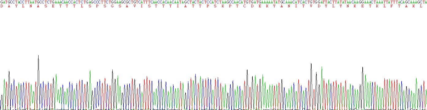 Recombinant Protein Tyrosine Phosphatase Receptor Type C (CD45)