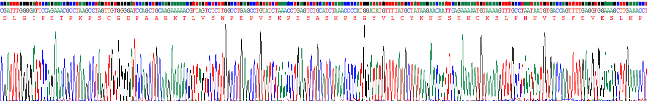 Recombinant Protein Tyrosine Phosphatase Receptor Type C (CD45)