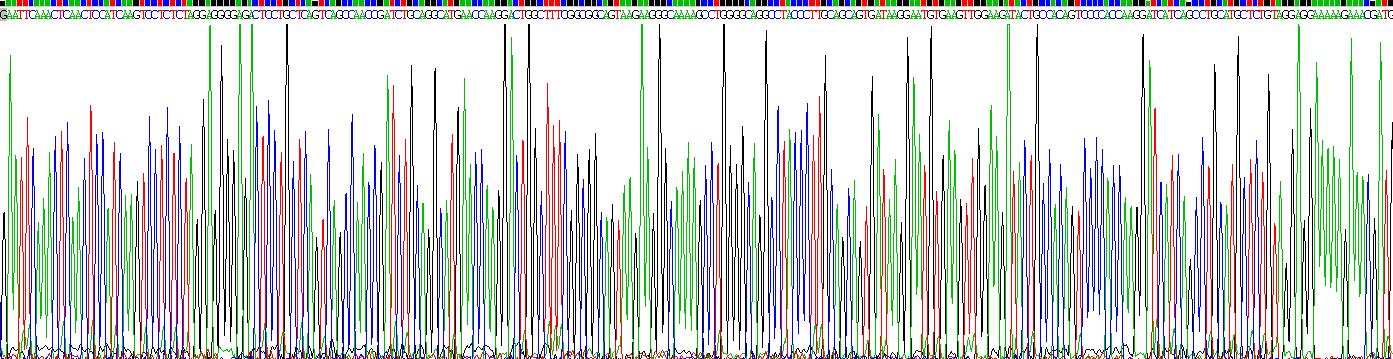 Recombinant Dickkopf Related Protein 2 (DKK2)