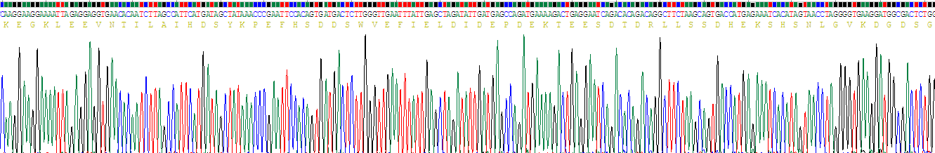 Recombinant Growth Hormone Receptor (GHR)