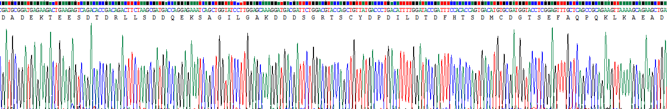 Recombinant Growth Hormone Receptor (GHR)