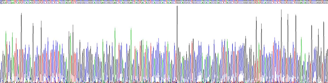 Recombinant Vimentin (VIM)