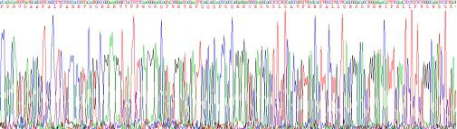 Recombinant Vitronectin (VTN)