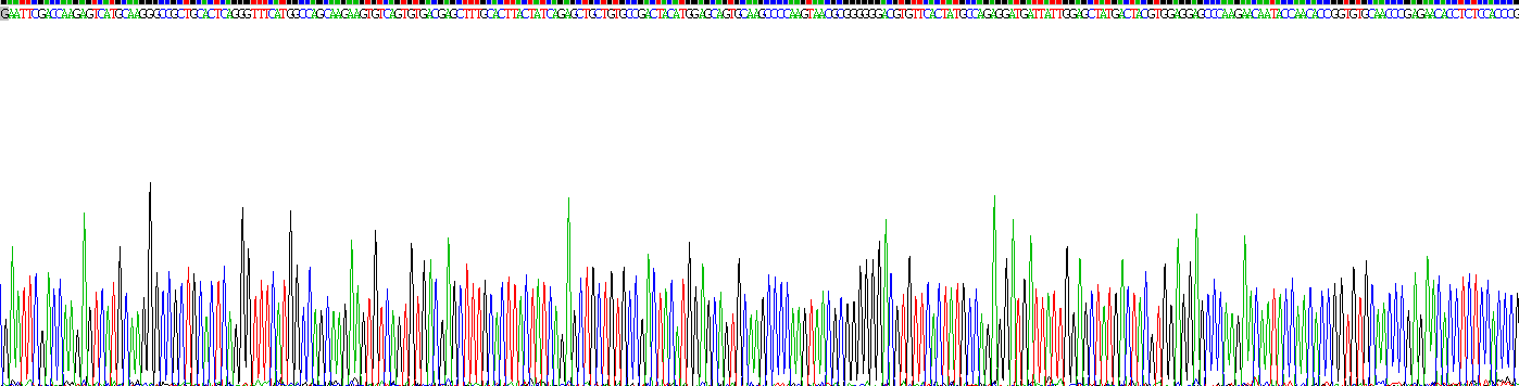 Recombinant Vitronectin (VTN)