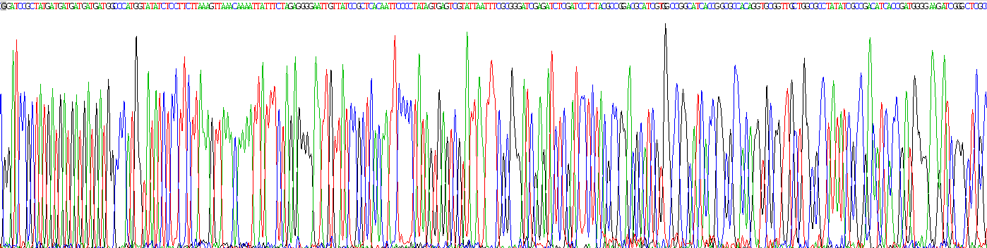 Recombinant Integrin Beta 1 (ITGb1)