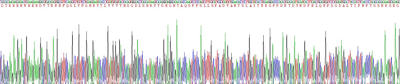 Recombinant Protein Tyrosine Phosphatase Receptor Type B (PTPRB)