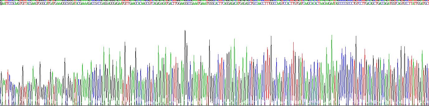 Recombinant Estrogen Receptor Alpha (ERa)