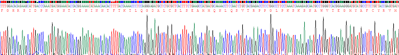 Recombinant Cytochrome P450 7A1 (CYP7A1)