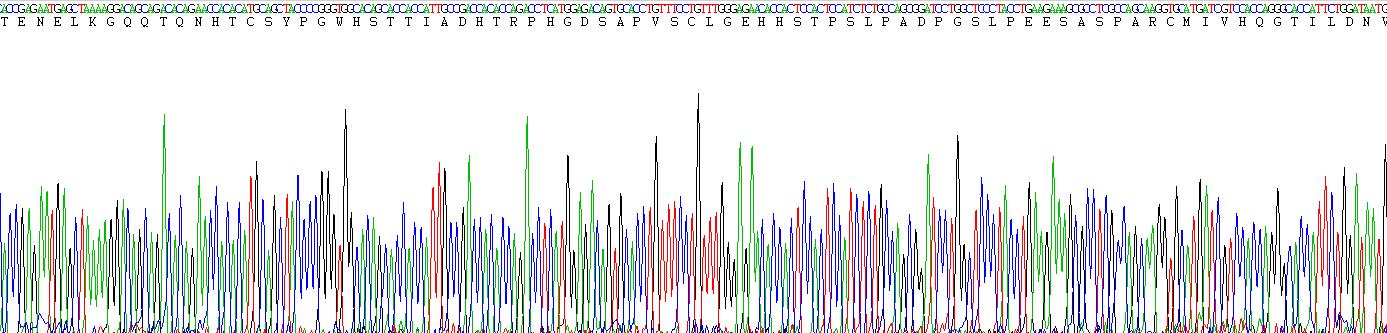 Recombinant Transcriptional Activator Myb (c-Myb)