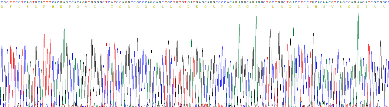 Recombinant Caspase Activated DNase (CAD)