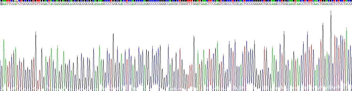 Recombinant Cluster Of Differentiation 15 (CD15)