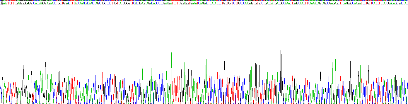 Recombinant Protein Disulfide Isomerase (PDI)