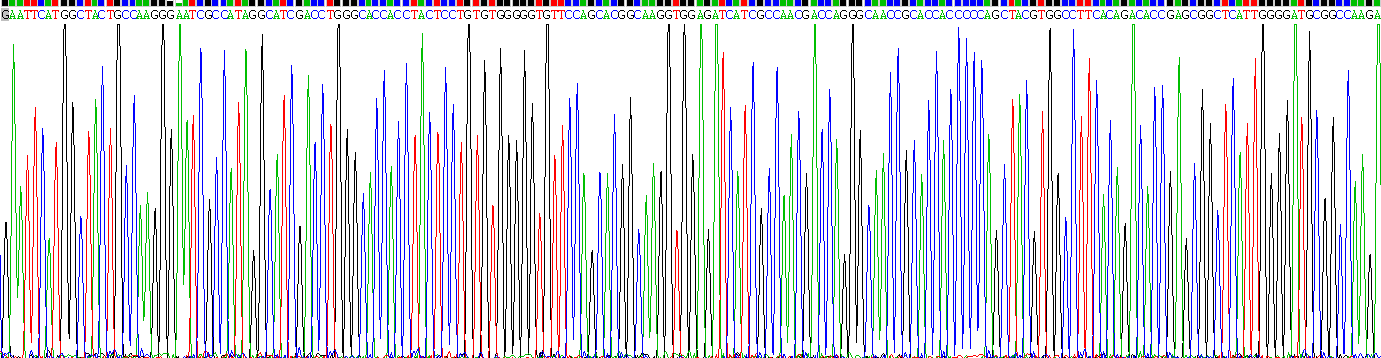 Recombinant Heat Shock 70kDa Protein 1 Like Protein (HSPA1L)