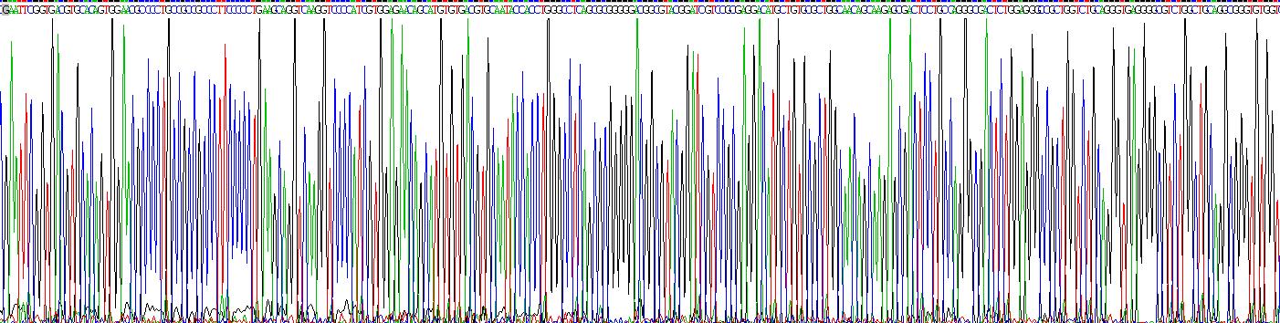 Recombinant Tryptase (TPS)