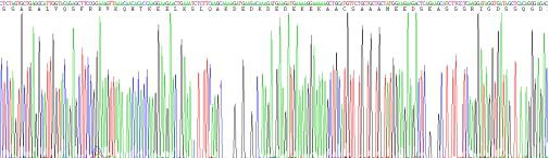 Recombinant Ubiquitin Protein Ligase E3A (UBE3A)