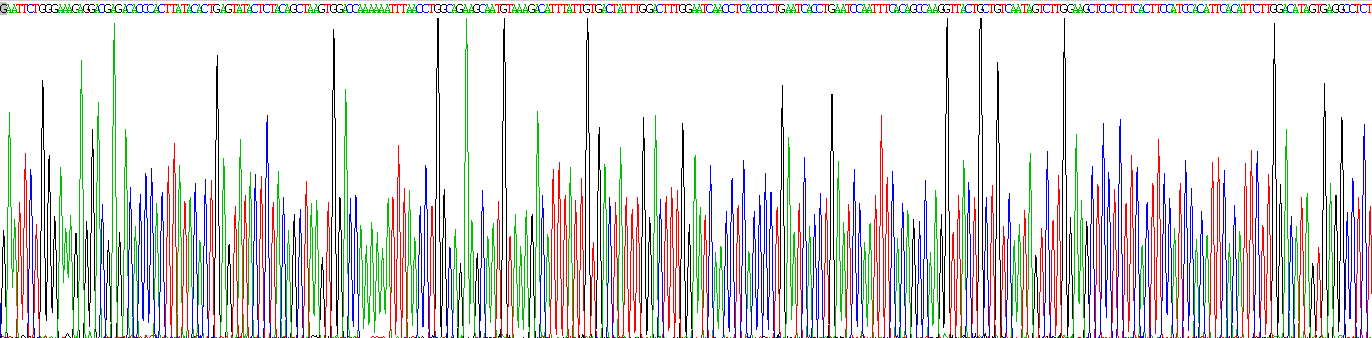 Recombinant Interleukin 12 Receptor Beta 2 (IL12Rb2)