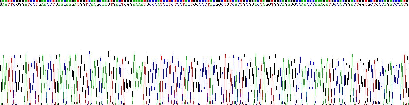 Recombinant Phospholipase A2, Group IID (PLA2G2D)