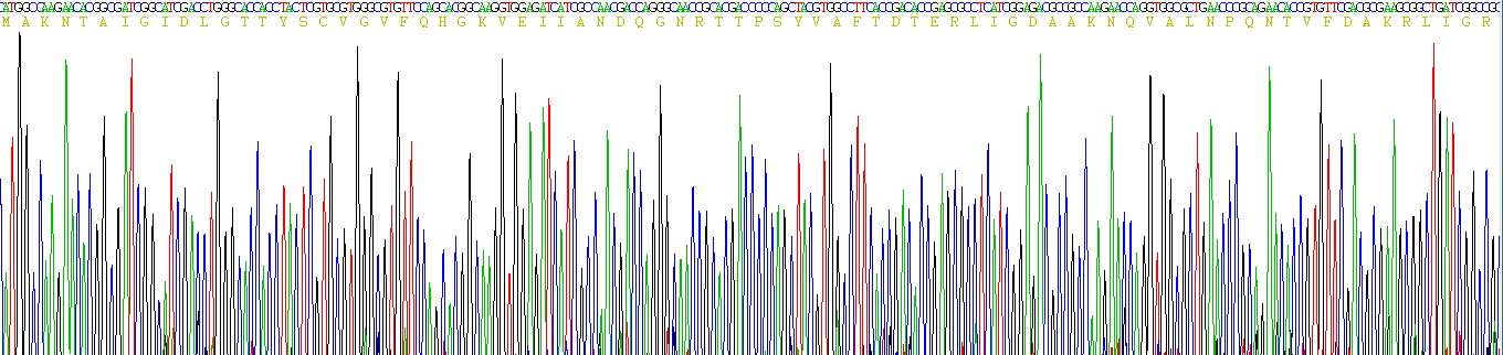 Recombinant Heat Shock 70kDa Protein 1A (HSPA1A)