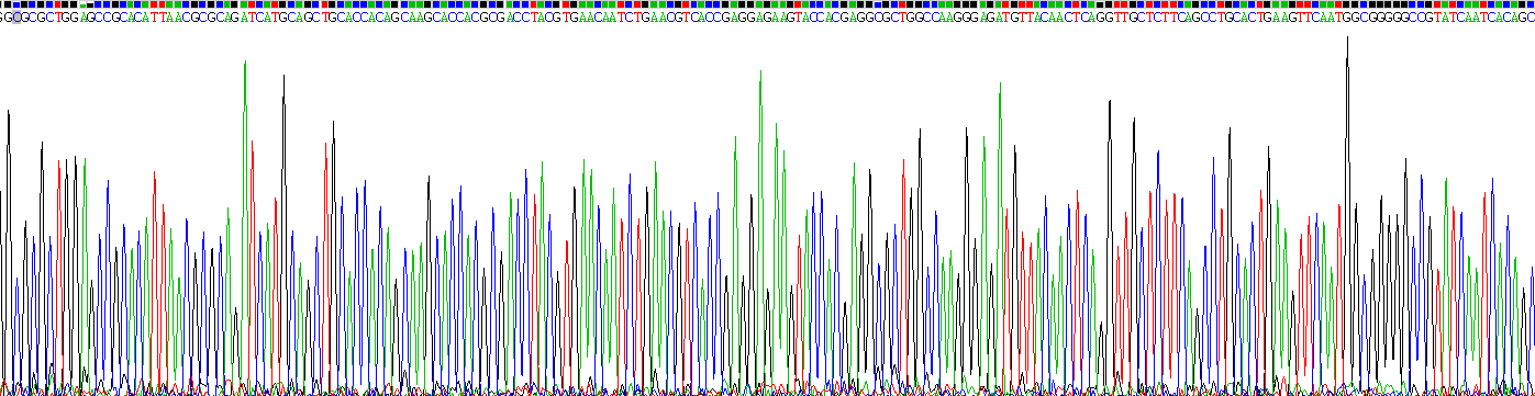 Recombinant Superoxide Dismutase 2, Mitochondrial (SOD2)