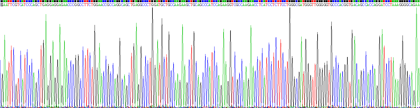 Recombinant Alkaline Phosphatase, Intestinal (ALPI)