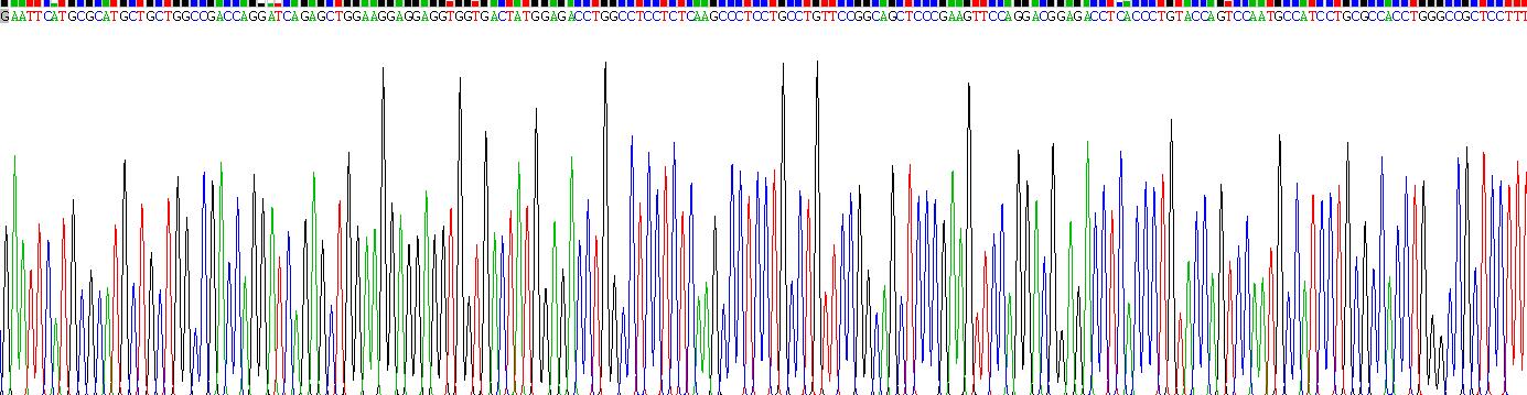 Recombinant Glutathione S Transferase Pi (GSTp)