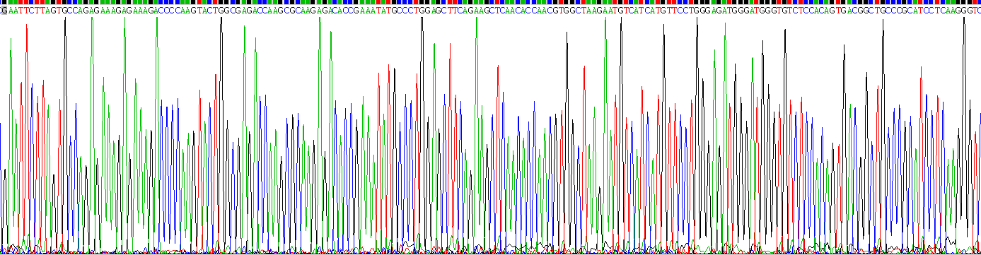 Recombinant Alkaline Phosphatase, Tissue-nonspecific (ALPL)