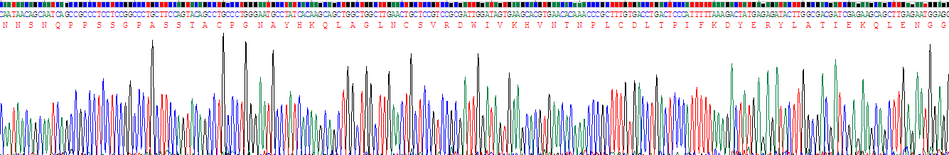 Recombinant Nucleoporin 50kDa (NUP50)