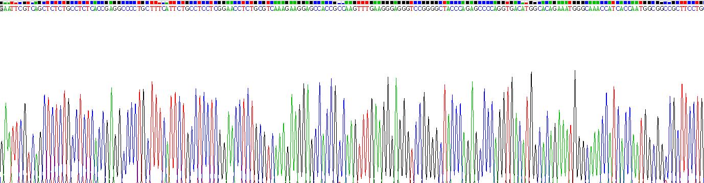 Recombinant Myosin Light Chain Kinase (MYLK)