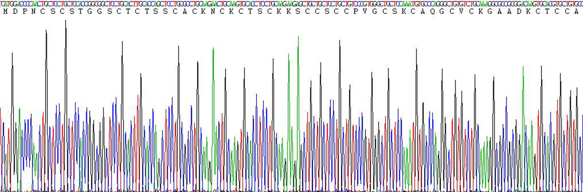 Recombinant Metallothionein 1 (MT1)