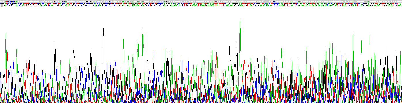 Recombinant Chondroitin Sulfate Proteoglycan 4 (CSPG4)