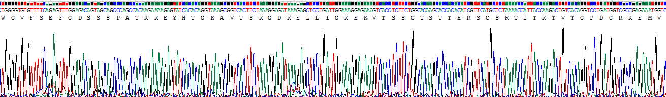 Recombinant Fibrinogen Alpha Chain (FGA)