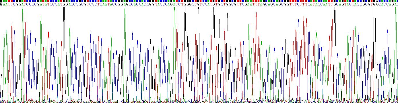 Recombinant VGF Nerve Growth Factor Inducible (VGF)