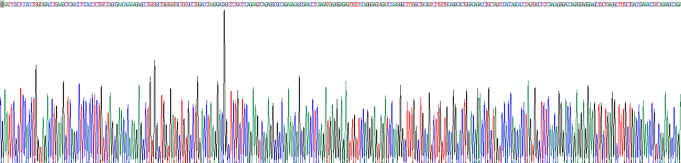 Recombinant VGF Nerve Growth Factor Inducible (VGF)